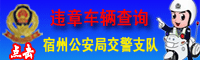 违章车辆