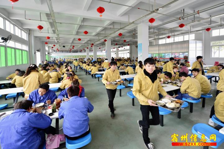 鞋厂招聘_鞋业招聘图片